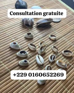 Consultation gratuite pour éclairer votre vie