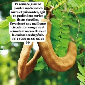 Augmenter le volume du pénis sans chirurgie – Les secrets d’un puissant marabout du Bénin Augmenter le volume du pénis sans chirurgie – Les secrets d’un puissant marabout du Bénin