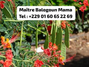 Stoppez le Diabète Naturellement